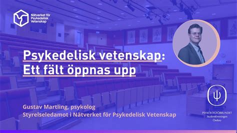 Quirk Fest: En Psykedelisk Hyllning till Quintus Q's Skådespelarkonst