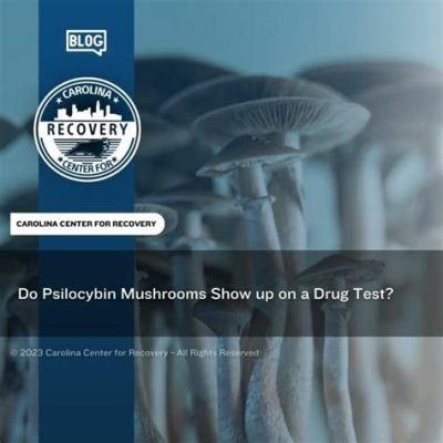 Does Psilocybin Show on a Drug Test? Exploring the Unpredictable Intersection of Psychedelics and Modern Screening Methods