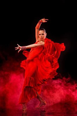  El Sueño de la Flamenca: En Kvällsföreställning Med Passion och Spärrar