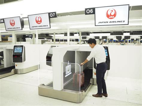 나리타 공항, 고양이와 함께하는 여행의 시작