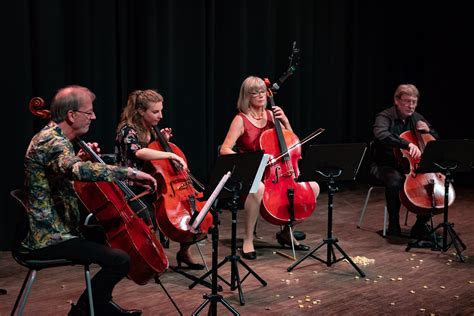 Virtuosos Vänder Kolombiens Musikvärld! En Magisk Konsert med Valeria Vega